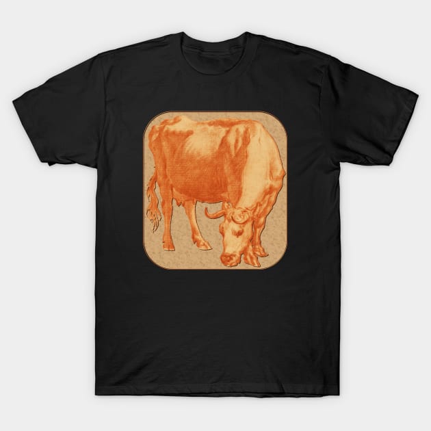 A Cow Grazing T-Shirt by quingemscreations
